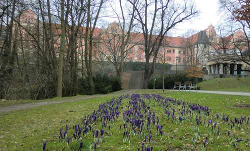 The Bezručovy sady park in Olomouc, Czech Republic (Copyright © 2015 Hendrik Böttger / runinternational.eu)