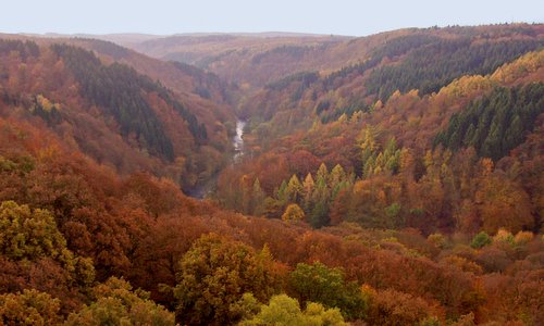 Wupper valley as seen from Müngsten Bridge (Author: Homo oecologicus at German Wikipedia / public domain / photo cropped by runinternational.eu)