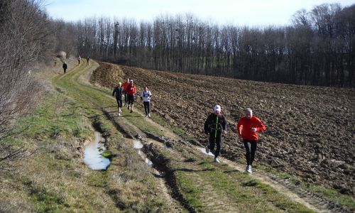 Göcsej Galopp  - runners in the Göcsej region in western Hungary (Copyright © 2018 Hendrik Böttger / runinternational.eu)