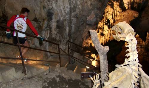 Grotta Gigante Cronotraversata - Cave Bear (Copyright © 2011 runinternational.eu)
