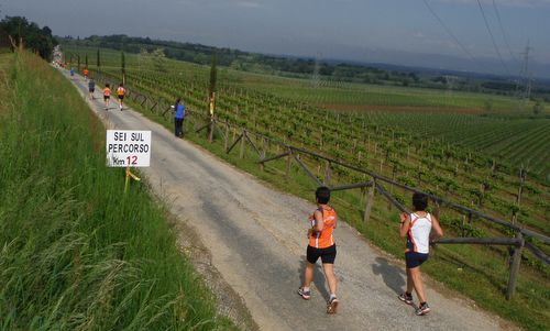 Marcia Cognòssi par Cognòssisi, Buttrio (Udine, Italy) - Sei sul percorso km12 (Copyright © 2015 Hendrik Böttger / runinternational.eu)