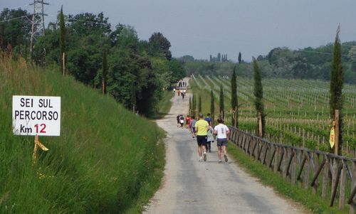 Cognòssi par Cognòssisi - Buttrio, Udine, Italy - percorso 12km - the 12km route (Copyright © 2016 Hendrik Böttger / runinternational.eu)