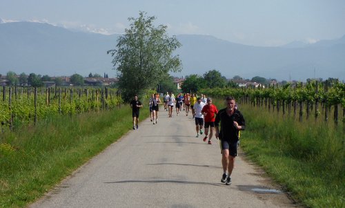 Cognòssi par Cognòssisi - runners near the village of Buttrio, Udine, Italy (Copyright © 2016 Hendrik Böttger / runinternational.eu)