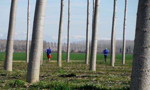 Cjaminade fra Amis, Gonars, Friuli, Italia - a running event on the Bassa Friulana Plain (Copyright © 2015 Hendrik Böttger / runinternational.eu)