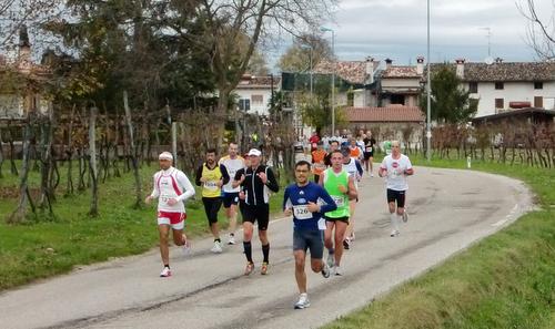 Mezza Maratona Città di Palmanova, Italy - Half marathon runners pass the vineyards at Clauiano (Copyright © 2017 Hendrik Böttger / runinternational.eu)