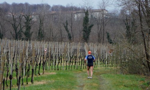 Cjaminade di San Josef - a runner in the vineyards near Laipacco di Tricesimo, Italy (Copyright © 2017 Hendrik Böttger / runinternational.eu)
