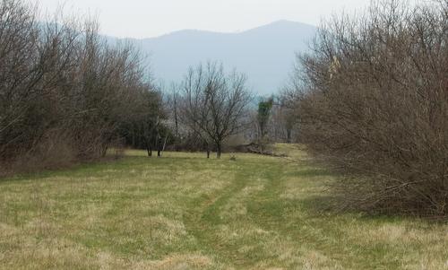 Batujski kros - the route runs through grassland and woods in the village of Batuje, Primorska, Slovenia (Copyright © 2010 Hendrik Böttger / runinternational.eu)