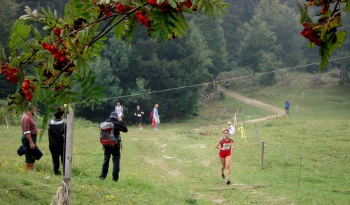 The finishing straight on Vodiška planina (Copyright © 2009 runinternational.eu)