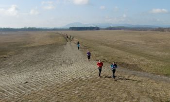 Runners in the Savski polumaraton (Copyright © 2012 runinternational.eu)