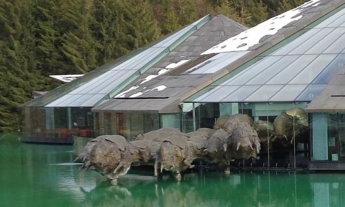 Bullen von Fuschl, Red Bull Headquarters, Fuschl am See, Austria (Photo: Copyright © 2021 Hendrik Böttger / runinternational.eu)