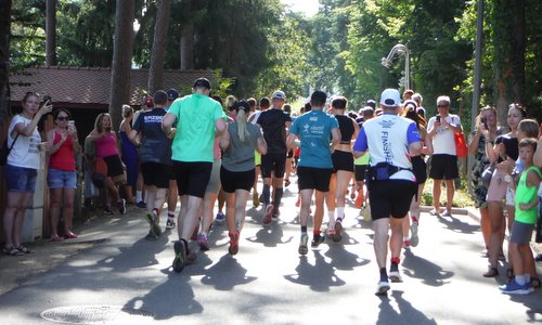 Klopeiner See Volkslauf, Austria - 10.4km runners (Copyright © 2024 Hendrik Böttger / runinternational.eu)