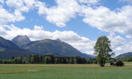 Mauthner Alm ('Mauthen Mountain Pasture'), Kötschach-Mauthen, Kärnten (Carinthia), Austria -- Photo: Copyright © 2020 Hendrik Böttger / runinternational.eu