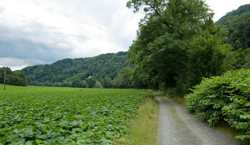 Römerlauf, Leibnitz, dirt road along the River Sulm (Photo: runinternational.eu)