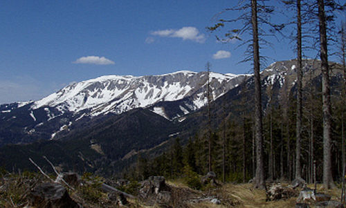 Hohe Veitsch, Austria (Author: Pop3210 at German Wikipedia / public domain / image modified by runinternational.eu)