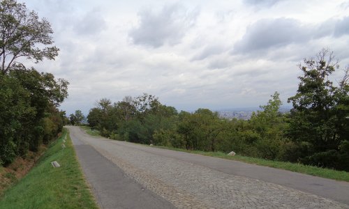 Höhenstraße, Vienna, Austria (Copyright © 2025 Anja Zechner / runinternational.eu)