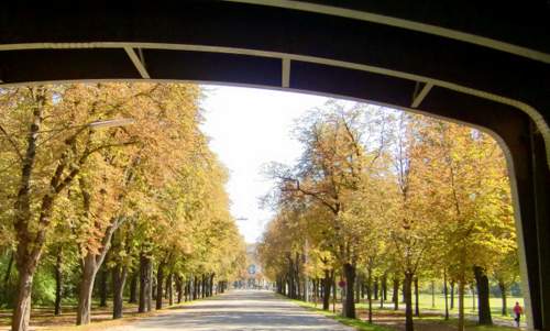 Prater Hauptallee, Vienna, Austria (Copyright © 2011 Hendrik Böttger / Run International EU)