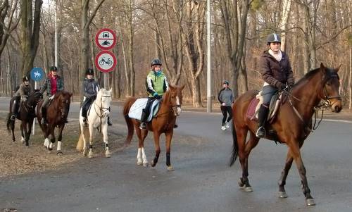 Horse riders in the Prater in Vienna (Copyright © 2012 runinternational.eu)