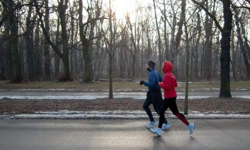 Runners on the Prater Hauptallee in Vienna, Austria (Copyright © 2011 runinternational.eu)