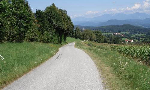 Vom See zum Berg - The route between Köstenberg and the finish at the Alpengasthof Obersakoparnig (Copyright © 2014 Hendrik Böttger / runinternational.eu)