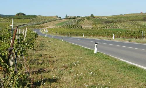 Weinstraße Pfaffstätten-Mödling, Austria (Photo: Copyright © 2018 Hendrik Böttger / runinternational.eu)