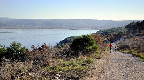 Ultra Promo Marathon  'Istria in your heart' (photo: Marathon Club Umag)