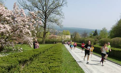 Boskovické Běhy 2013 - uphill to the Chateau of Boskovice (Copyright © 2013 Hendrik Böttger / runinternational.eu)