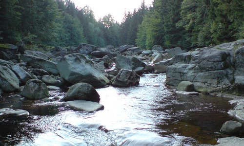 Jizera river, Czechia (Author: Pannage / commons.wikimedia.org / Public Domain / photo modified by runinternational.eu)