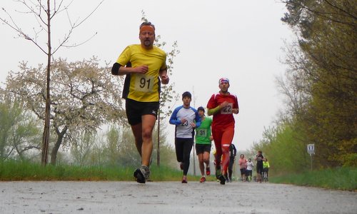 KVOK Half Marathon, Czech Republic - runners on the cycleway between Kolín and Velký Osek (Copyright © 2016 Hendrik Böttger / runinternational.eu)