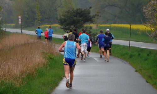KVOK 2014, Kolín, Czech Republic - runners between Kolín and Velký Osek (Copyright © 2014 Hendrik Böttger / runinternational.eu)