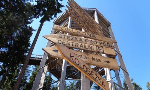 Stezka korunami stromů (Treetop Walkway), Lipno nad Vltavou, Czechia -- Photo: Copyright © 2018 Hendrik Böttger / runinternational.eu)