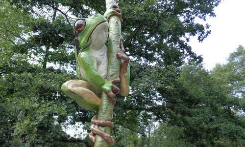 Ostrava Zoo, Czech Republic - model of a tree frog (Photo: Copyright © 2021 Hendrik Böttger / runinternational.eu)