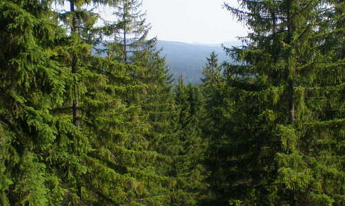 Wooded hills near Pilsen, Czechia (Author: Brdy-res publica / commons.wikimedia.org / public domain / photo cropped by runinternational.eu)