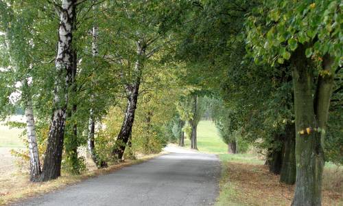 Zlatý podzim, Vratimov, Czech Republic - course photo (Copyright © 2015 Hendrik Böttger / runinternational.eu)