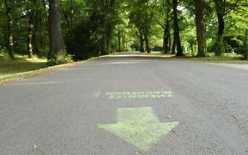 The Chemnitz Marathon route runs through the Stadtpark (Copyright © 2014 Hendrik Böttger / runinternational.eu)