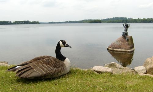 The Dieksee in Malente, Germany (Copyright © 2012 runinternational.eu)