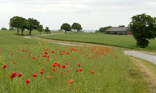 Europalauf Neustadt in Holstein - the route near Rettin (Copyright © 2012 runinternational.eu)