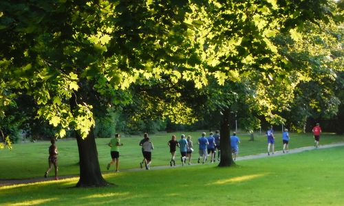 Buntekuhlauf, Lübeck, Germany - runners in the Wiesental park in Buntekuh (Photo copyright © 2017 Hendrik Böttger / runinternational.eu)