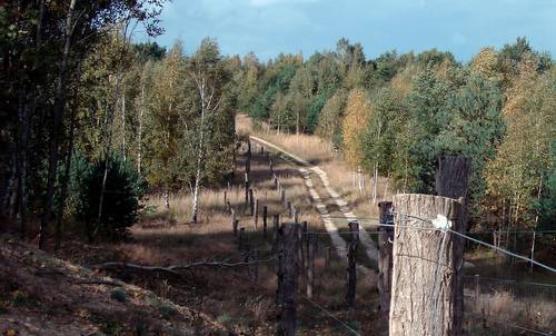 Döberitzer Heide, Brandenburg, Germany (Author: Piekfrosch / commons.wikimedia.org / public domain / photo modified by runinternational.eu)