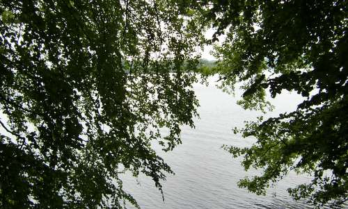 Lake and trees (Copyright © 2017 Hendrik Böttger / runinternational.eu)