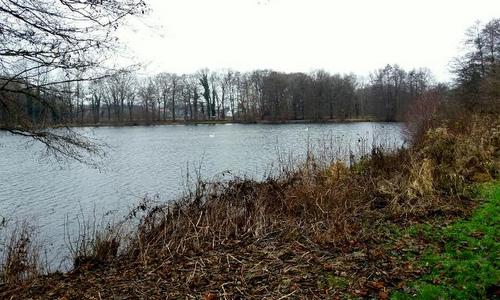 Rubbenbruchsee, Osnabrück, Germany (Photo by courtesy of Michael Brehe, Rubbenbruchsee Marathon)