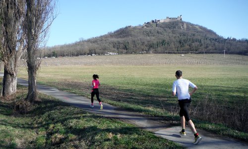 Balaton Szupermaraton - day 2 - runners near the finish at Szigliget Castle (Photo: Copyright © 2026 Hendrik Böttger / runinternational.eu)