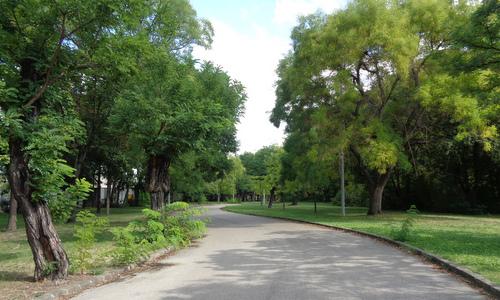 Népliget (People's Park), Budapest, Hungary -- Copyright © 2022 Hendrik Böttger / runinternational.eu