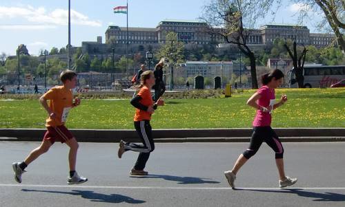 Vivicitta Budapest, views of Buda Castle (Copyright © 2011 runinternational.eu)