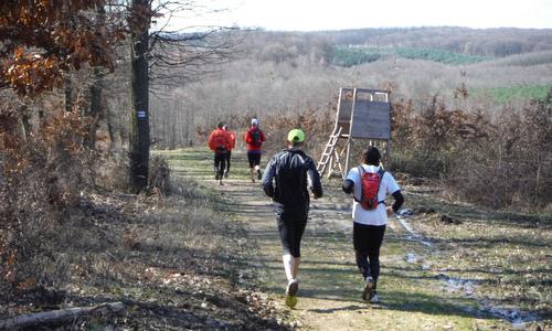 Göcsej Galopp - runners in the forests of the beautiful Göcsej region in Hungary (Copyright © 2016 Hendrik Böttger / runinternational.eu)