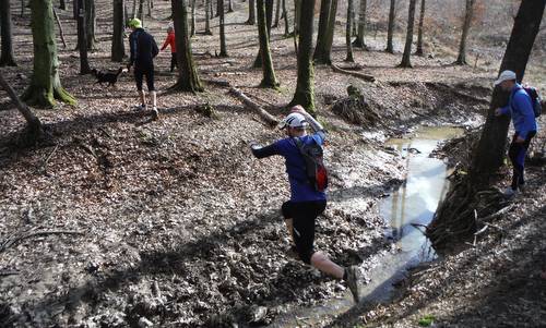 Göcsej Galopp, Kavás, Hungary - Particpants cross a stream in the forest. (Copyright © 2016 Hendrik Böttger / runinternational.eu)