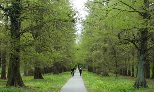 The cycleway between Hévíz and Keszthely (Copyright © 2016 Hendrik Böttger / runinternational.eu)