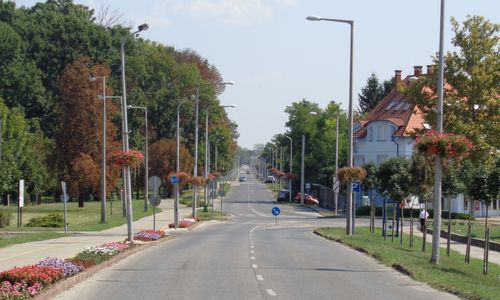 Pápa Maraton - course photo: Gróf út, Pápa, Hungary (Copyright © 2020 Hendrik Böttger / runinternational.eu)