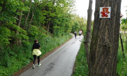 Futás a koraszülöttekért - Run for Preemies, Hungary - course marker (Copyright © 2017 Hendrik Böttger / runinternational.eu)