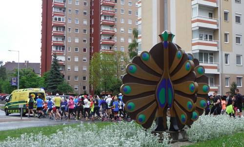 Futás a koraszülöttekért - runners in Zalaegerszeg (Copyright © 2017 Hendrik Böttger / runinternational.eu)
