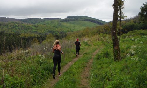 Futás a koraszülöttekért - runners enjoy fine views of the hills of Zala County (Copyright © 2017 Hendrik Böttger / runinternational.eu)